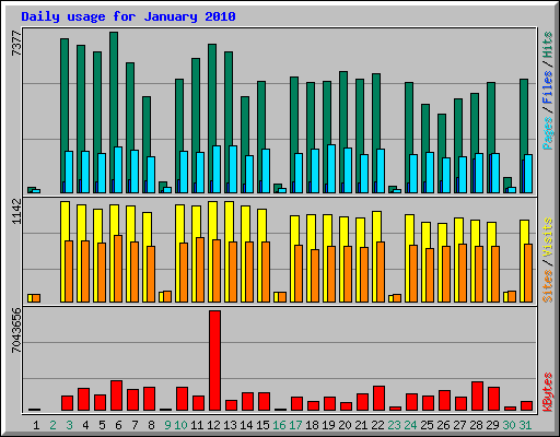 Daily usage for January 2010