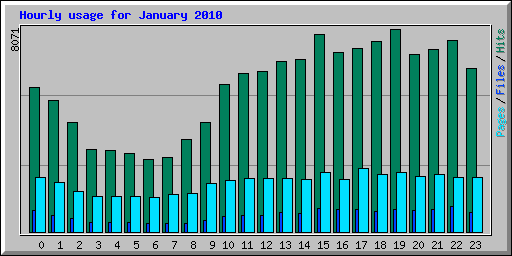 Hourly usage for January 2010