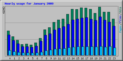 Hourly usage for January 2009